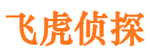 银海外遇调查取证